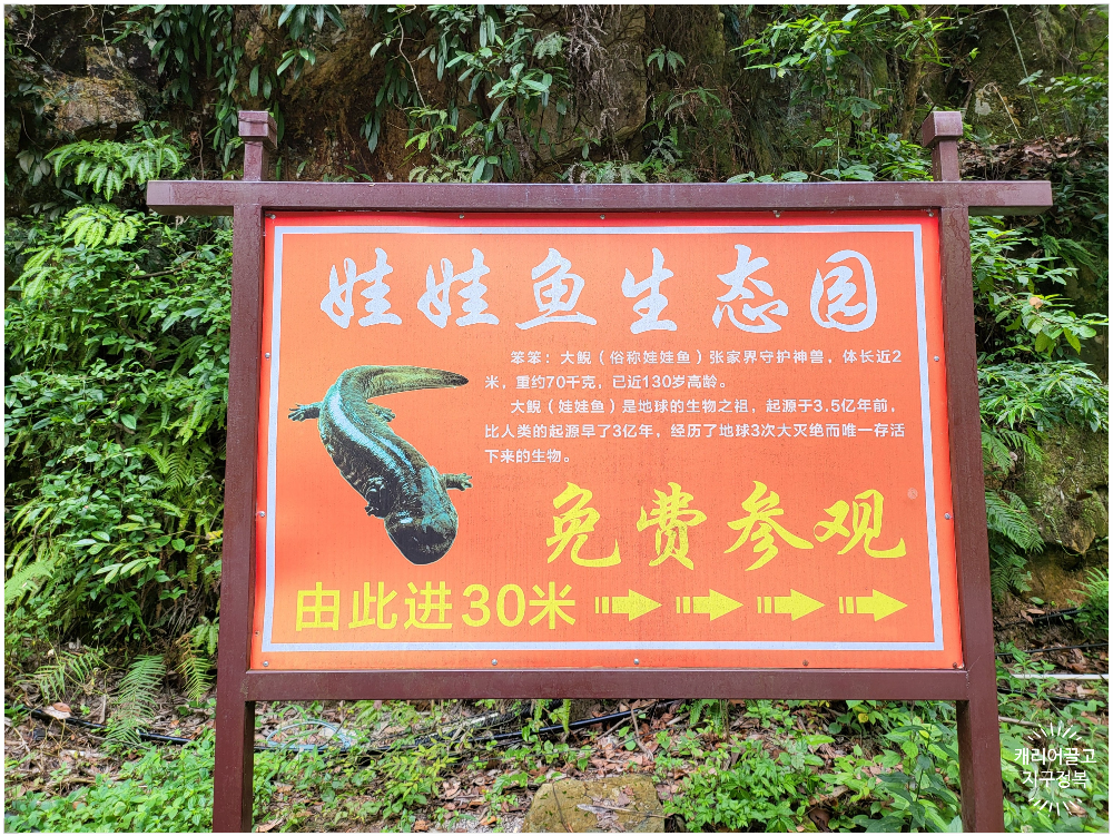 장가계 보봉호수