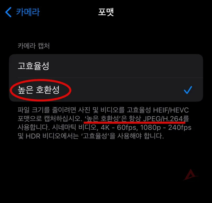 포맷 높은 호환성 선택