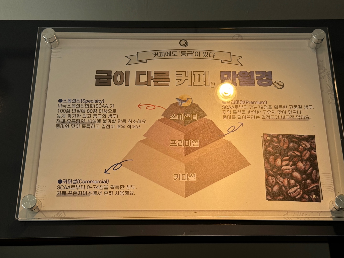 만월경