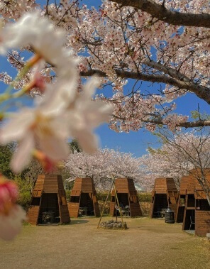 생방송 투데이 맛있는 퇴근 김해 캠핑 감성 바비큐 고깃집 로담