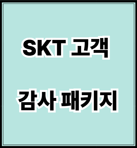 SKT 고객 감사 패키지