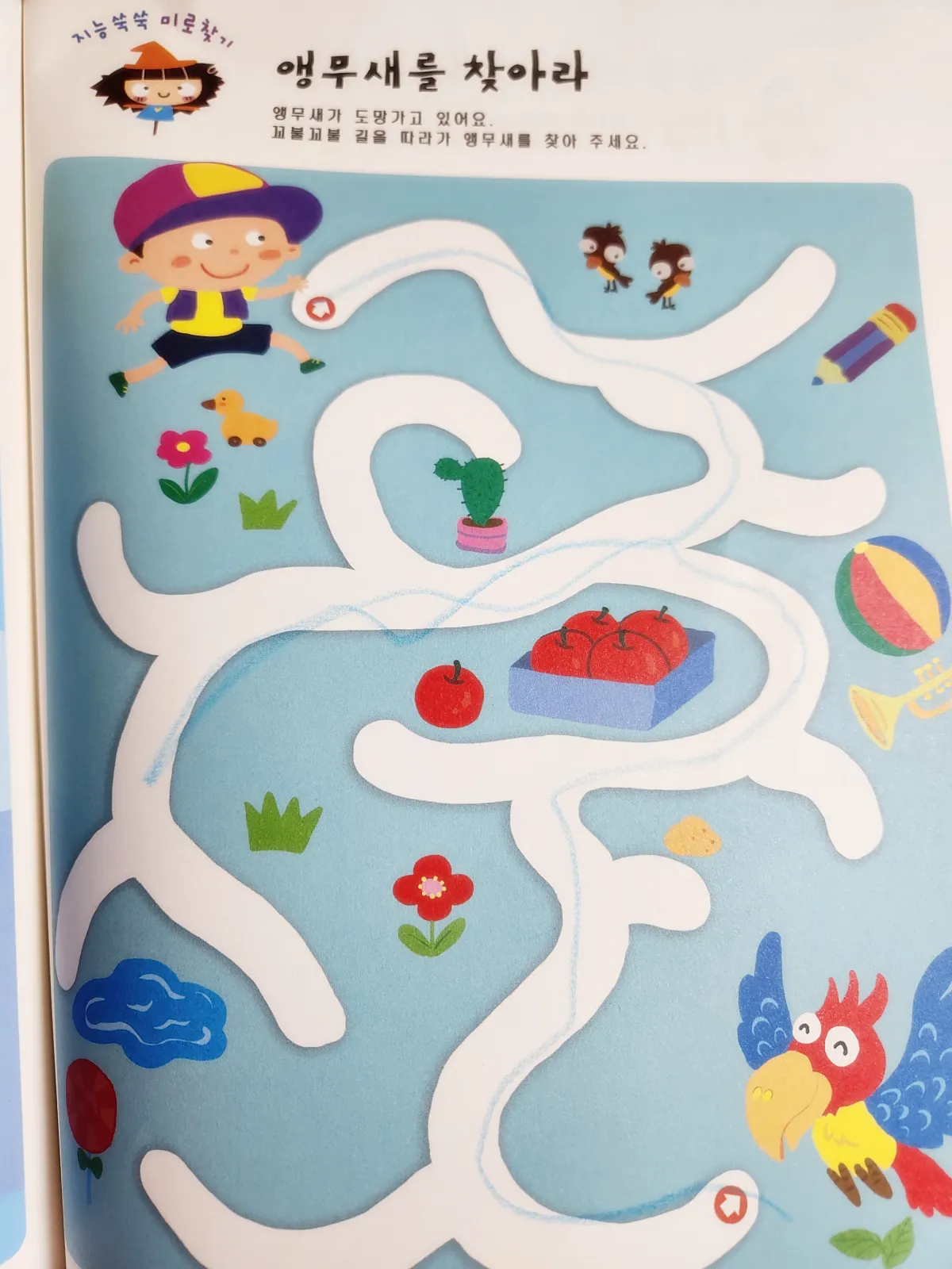 미로찾기1-미로-앵무새