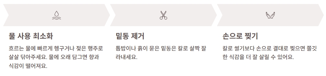 참송이버섯 효능
