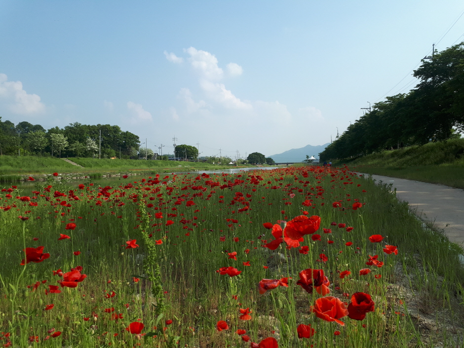 임실 가볼만한곳 베스트10