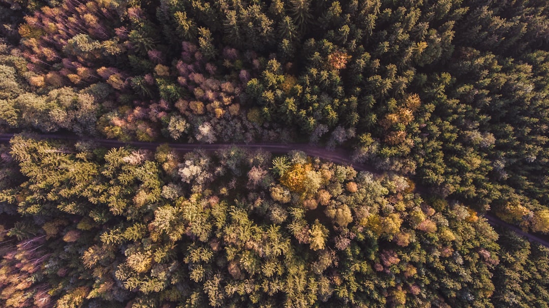 route