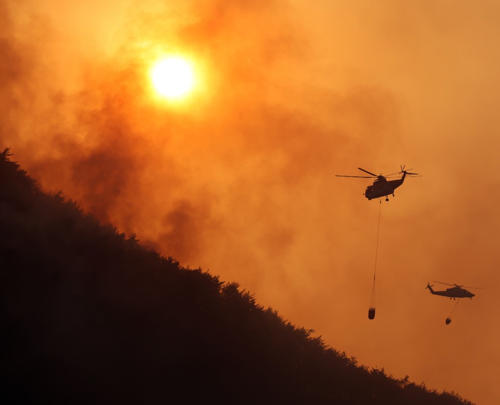 2025 산불 피해 기부 방법 총정리