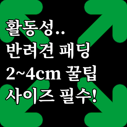 활동성 보장하는 반려견 패딩 선택 노..