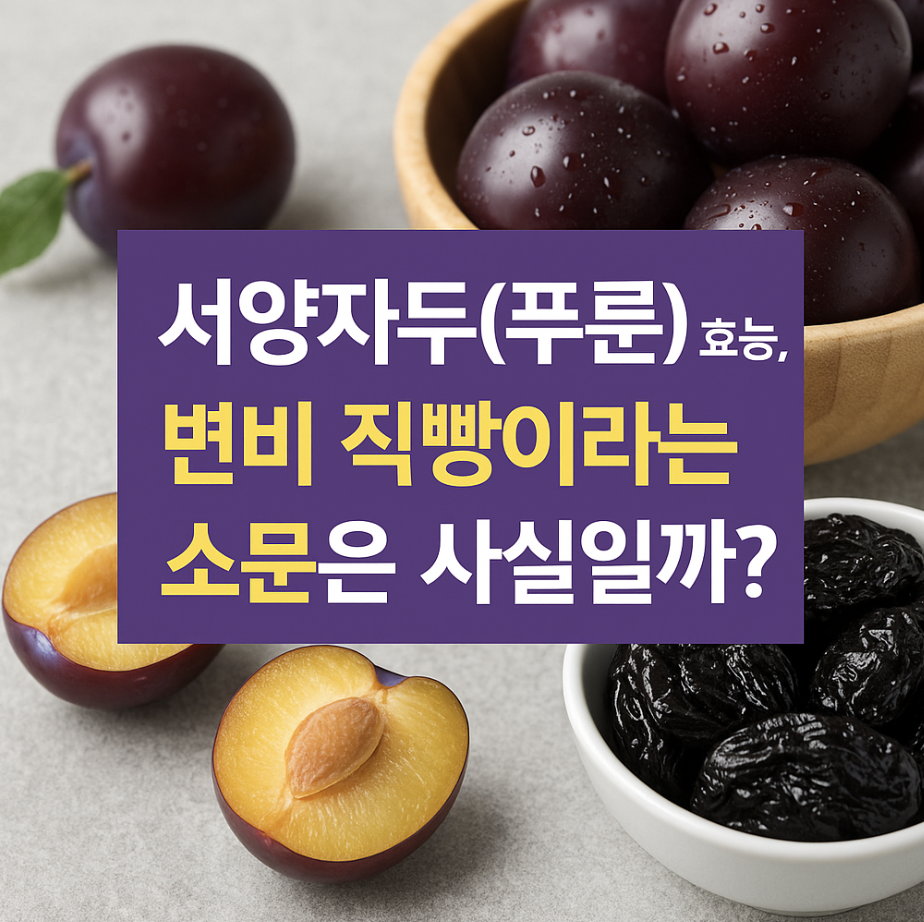 서양자두(푸룬) 효능, 변비 직빵이라는 소문은 사실일까?