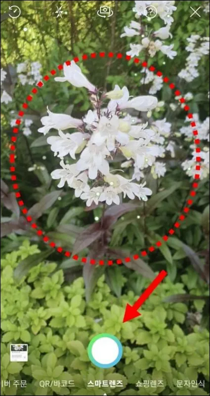 네이버-사진-촬영