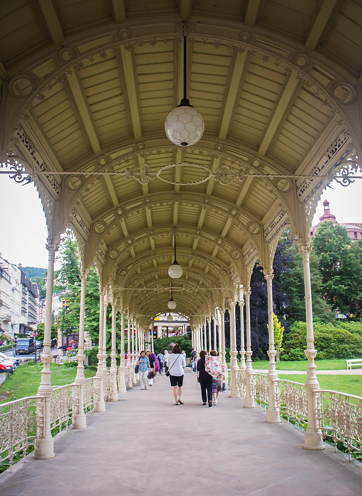 트르지니콜로나다