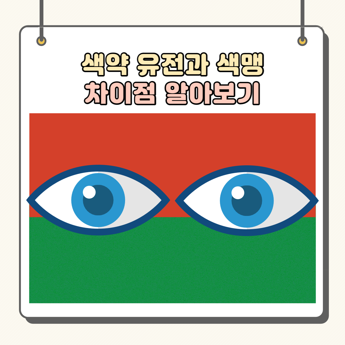색약 유전