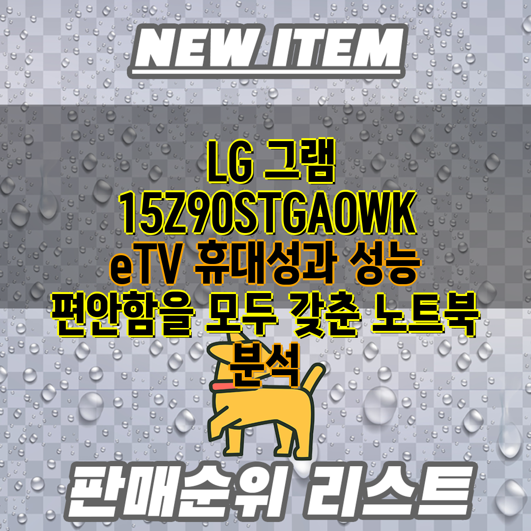 LG 그램 15Z90STGAOWK eTV 휴대성과 성