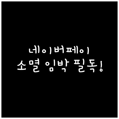 네이버페이 소멸 임박 포인트 놓치지 ..