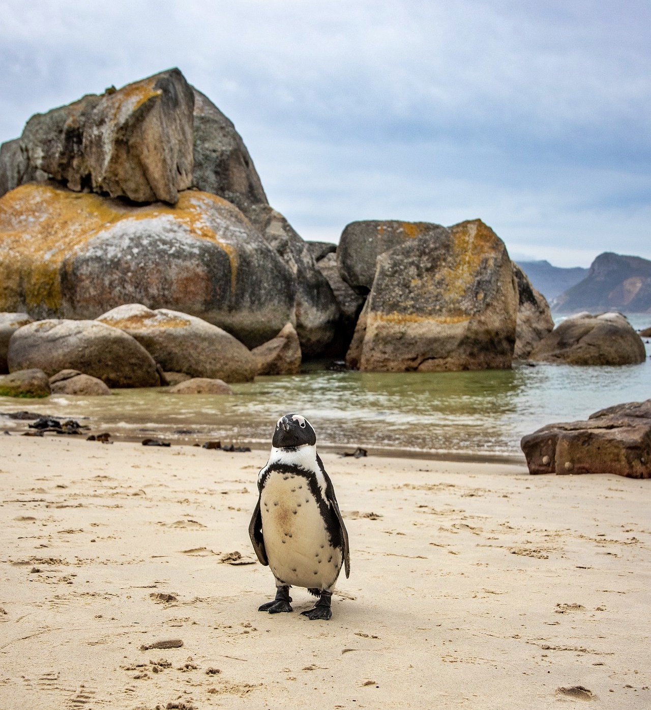  기후 위기는 왜 &lsquo;교육과 노동시장&rsquo;부터 무너뜨리는가?