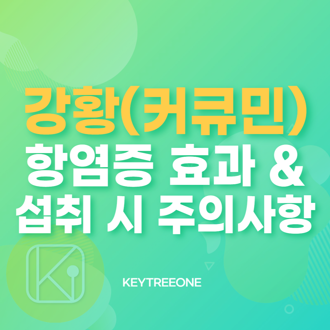 강황(커큐민)의 항염증 효과와 섭취 시 주의사항