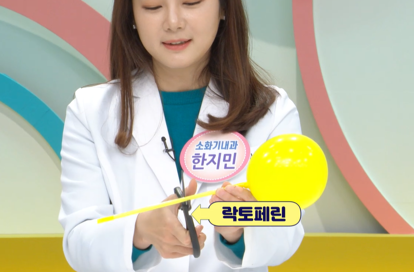 락토페린 효능