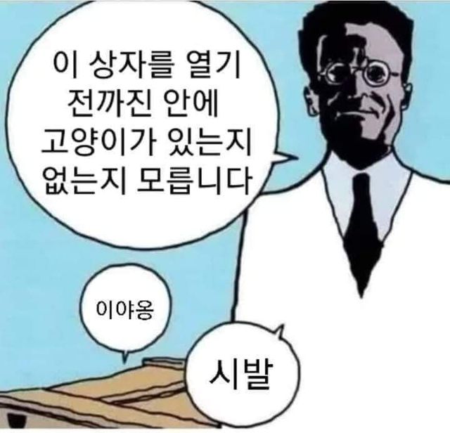 슈뢰딩거의 고양이