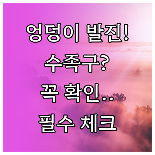 엉덩이 발진 동반된 수족구 증상 체크..