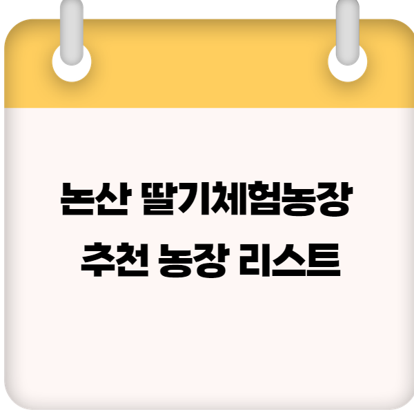 논산 딸기체험농장 – 2025년 예약 방법 & 추천 농장 리스트