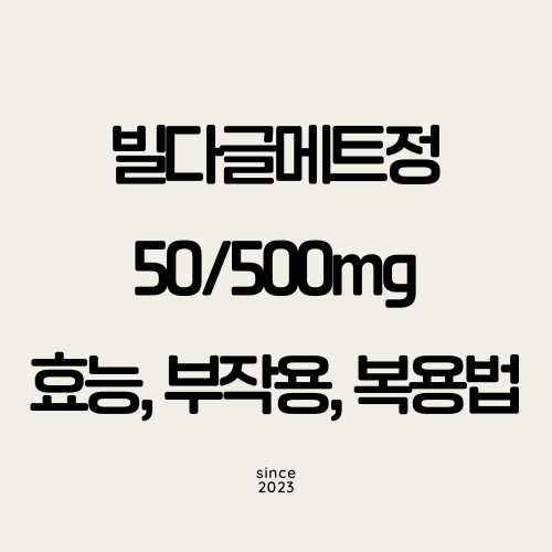 빌다글메트정 50500mg 효능 썸네일
