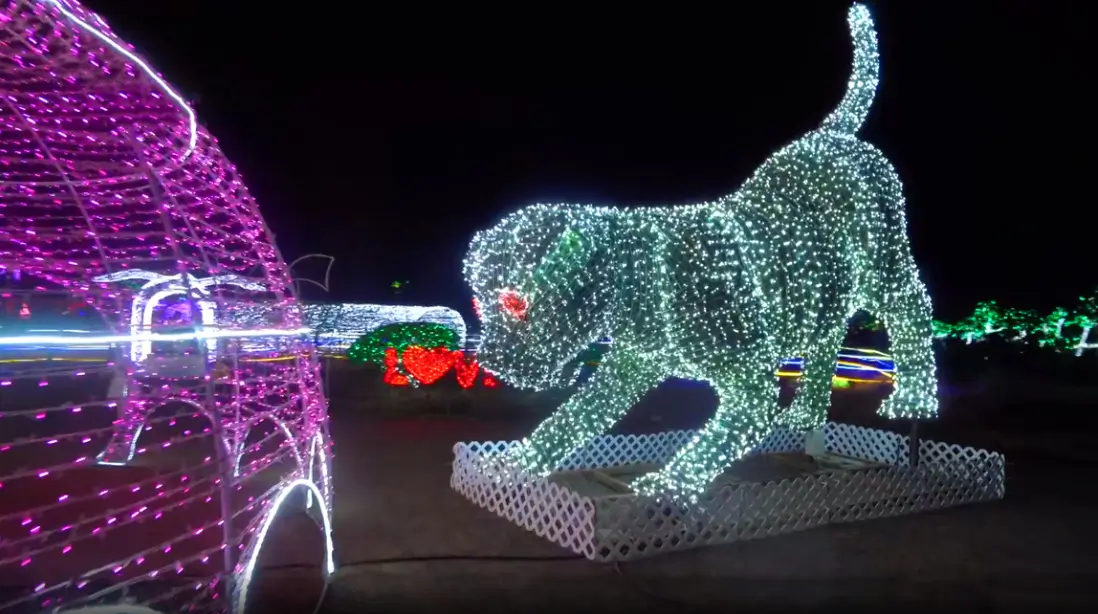 겨울 여행지 추천 태안 빛축제