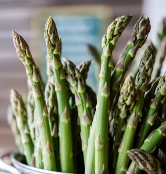 아스파라거스 효능 사랑받는 6가지 고르는법 부작용