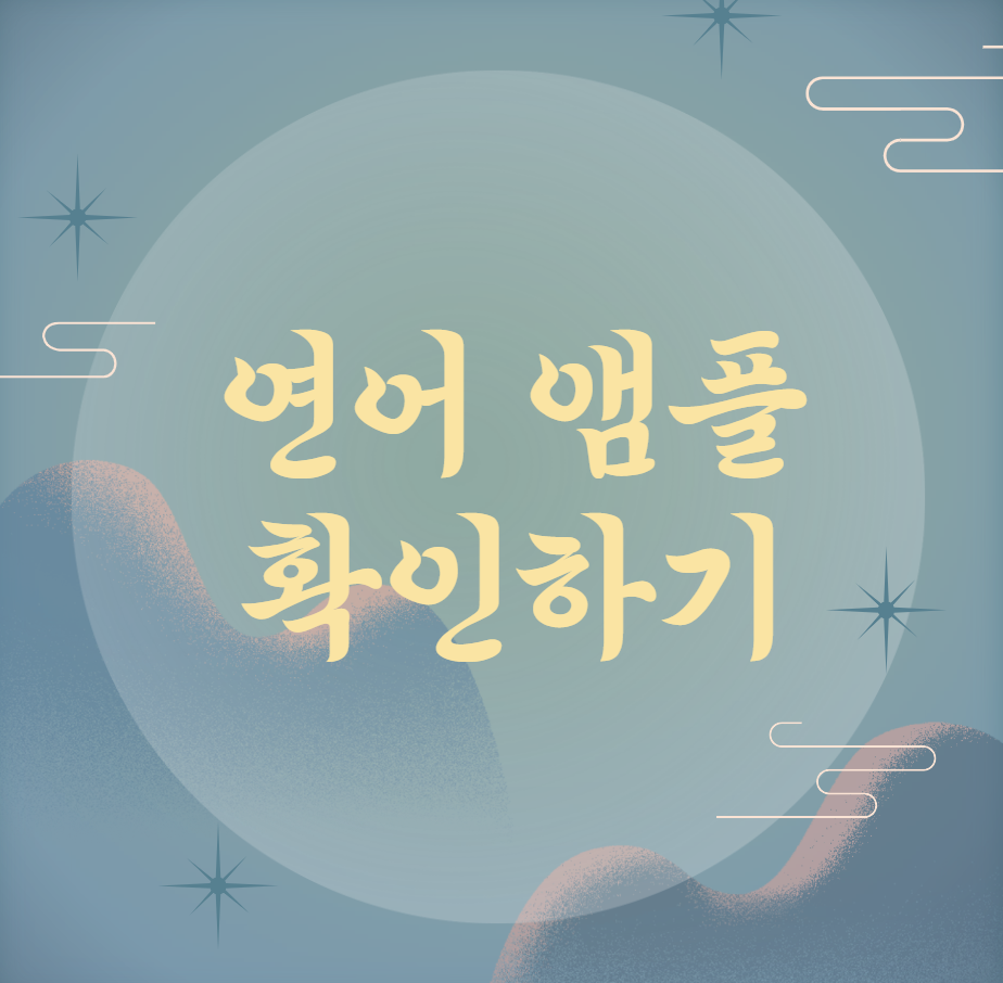 연어앰플
