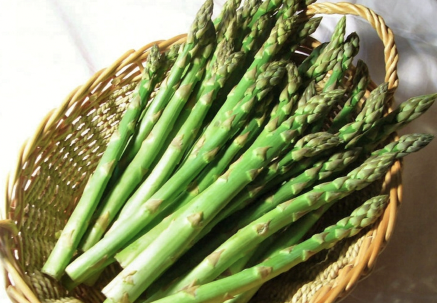 아스파라거스 사진2
