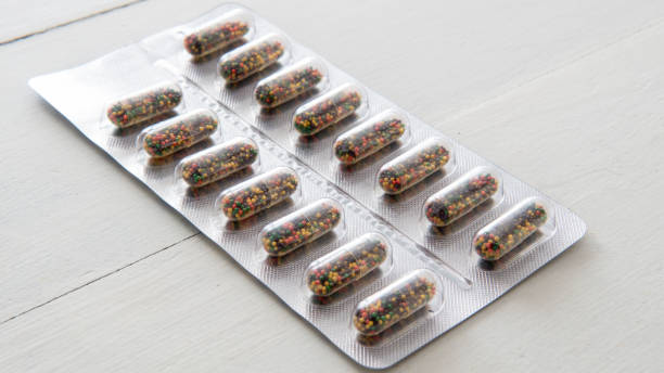 반려동물 장 건강에 좋은 영양소