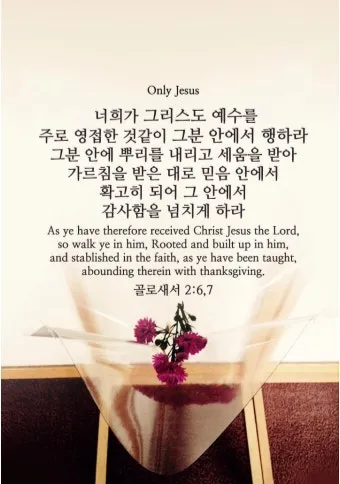 골로새서 2장 7절 묵상 - 그 안에 뿌리를 박으며 세움을 받아 교훈을 받은 대로 믿음에 굳게 서서_26