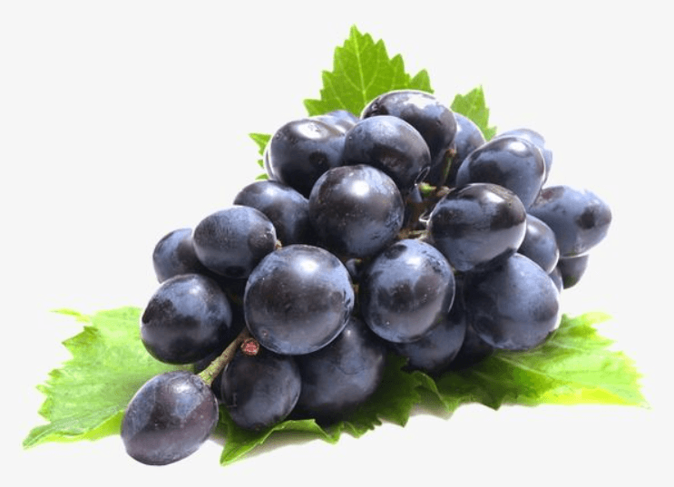포도