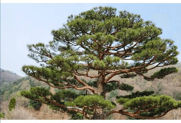 화담숲-예매-성공-1