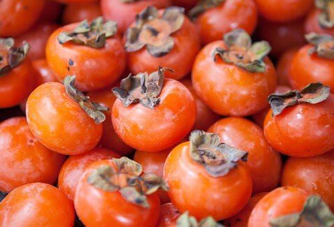 홍시의효능부작용