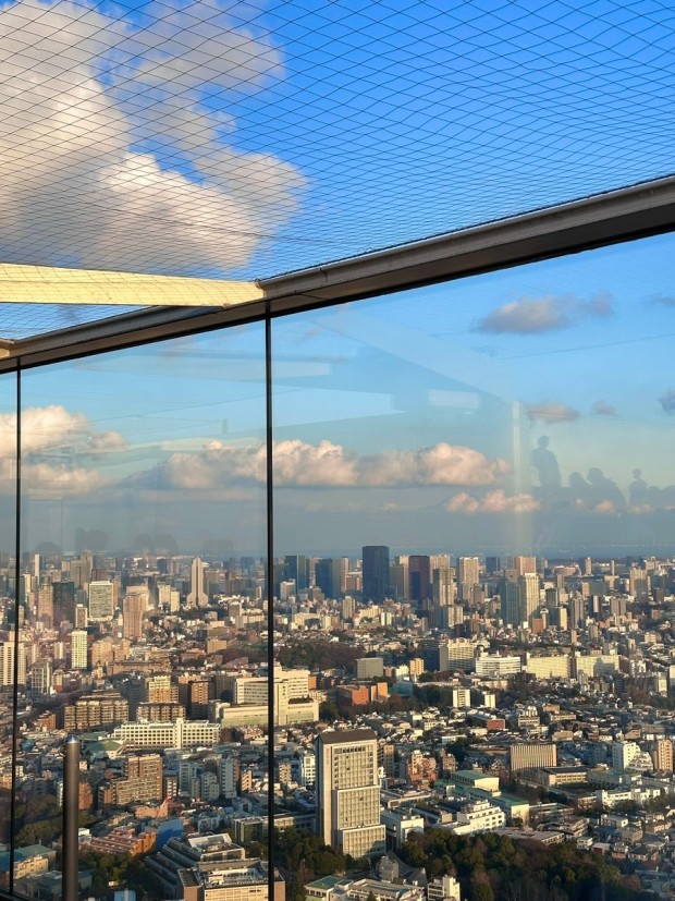 도쿄 자유여행 추천 관광명소 디즈니랜드 놀이기구 추천 TOP 7