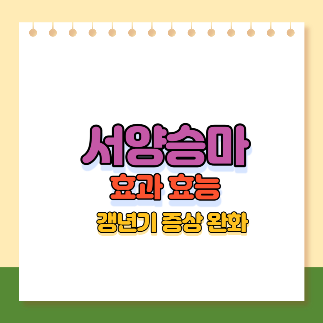 서양승마 효과효능 사진