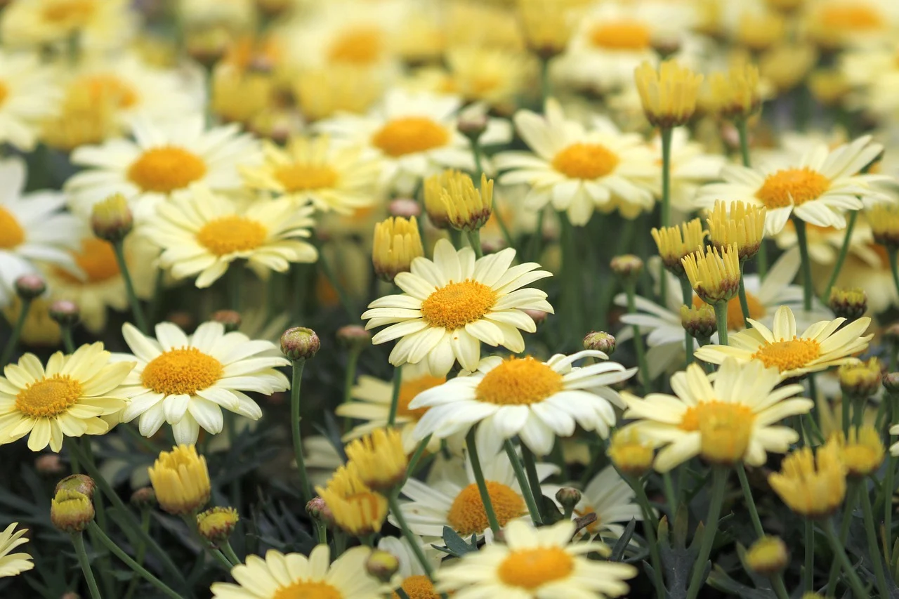 “나는 피해망상인가요?”