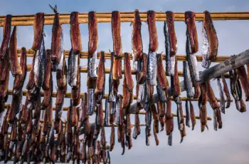 과메기 가격 및 효능&amp;#44; 영양성분과 주의점