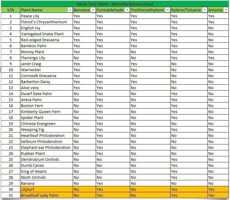 나사_식물_리스트