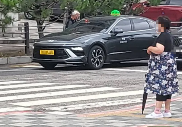 쏘나타디엣지-택시