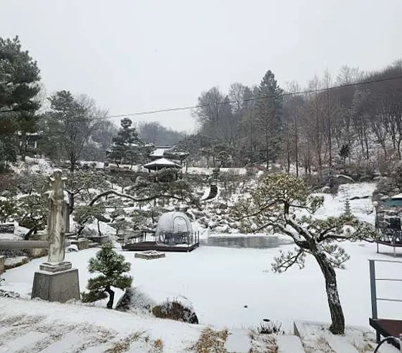 더 포레 1947
