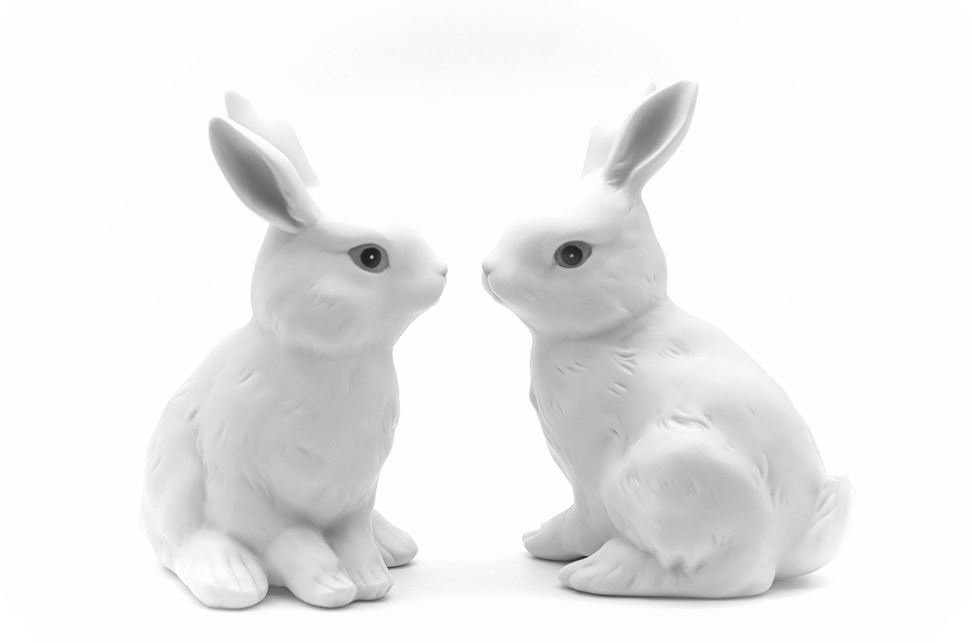  2026년 토끼띠 운세 총정리 (월별&middot;연애운&middot;재물운&middot;직장운)최신