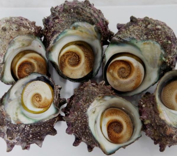 요즘 제철 음식