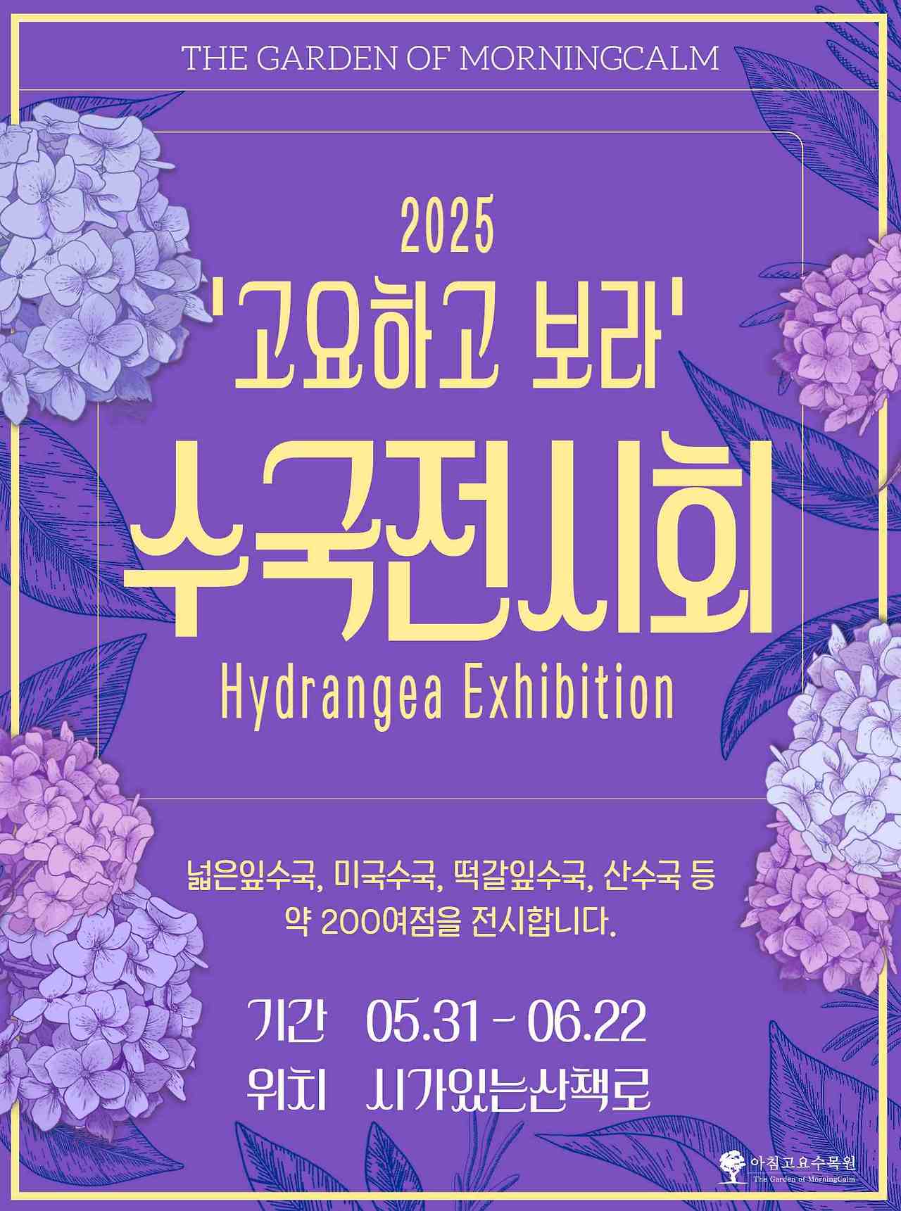 2025 아침고요수목원 수국전시회 개막! 관람 포인트 총정리 (5.31~6.22)