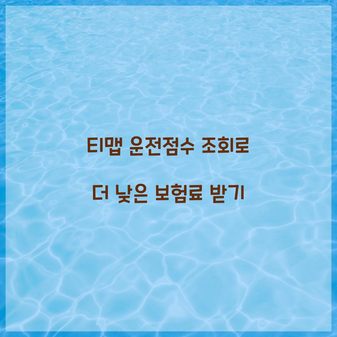 티맵 운전점수 조회