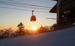 발왕산 케이블카 요금 및 예약 최신 정보 총정리