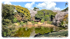 도쿄 국립 박물관