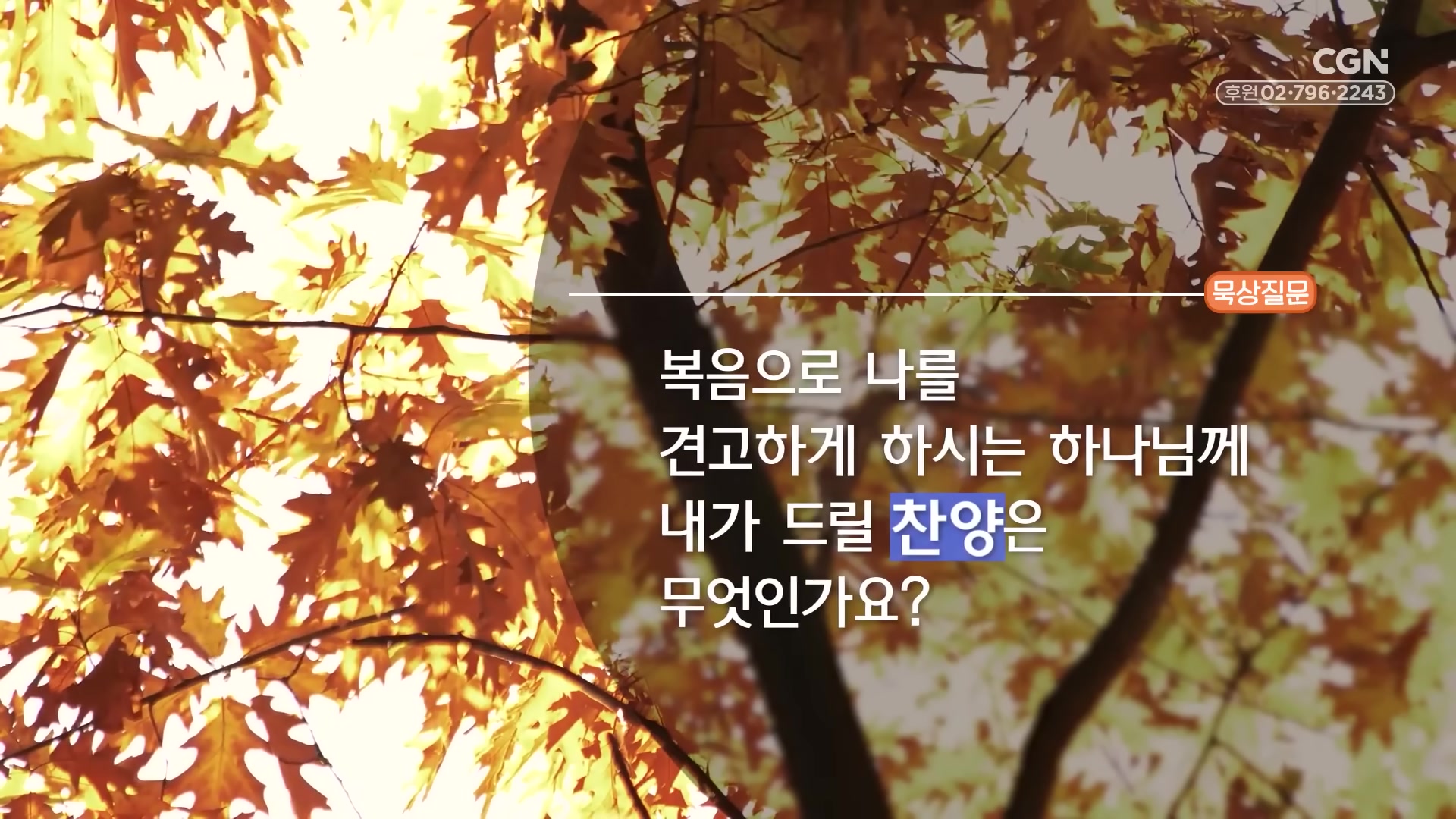 복음으로 나를 견고하게 하시는 하나님께 내가 드릴 찬양은 무엇인가요?
