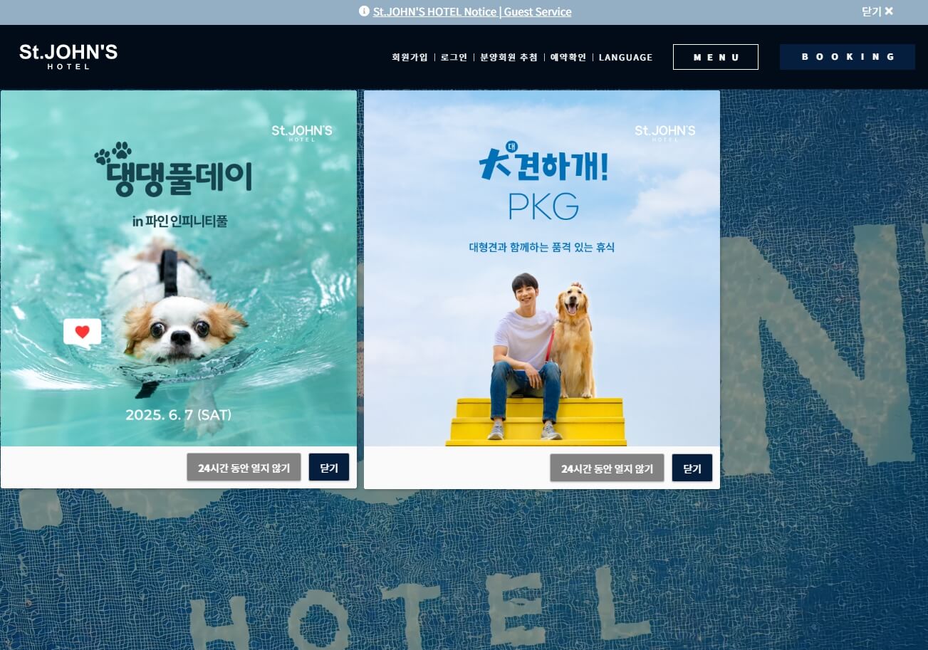 반려견과 함께하는 국내 여행지 Best 10