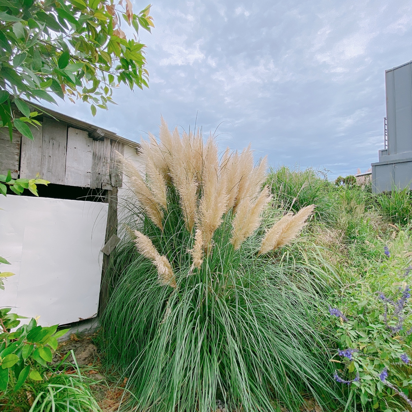 제주 한림 금능 제주구옥 주택개조 카페 잔물결