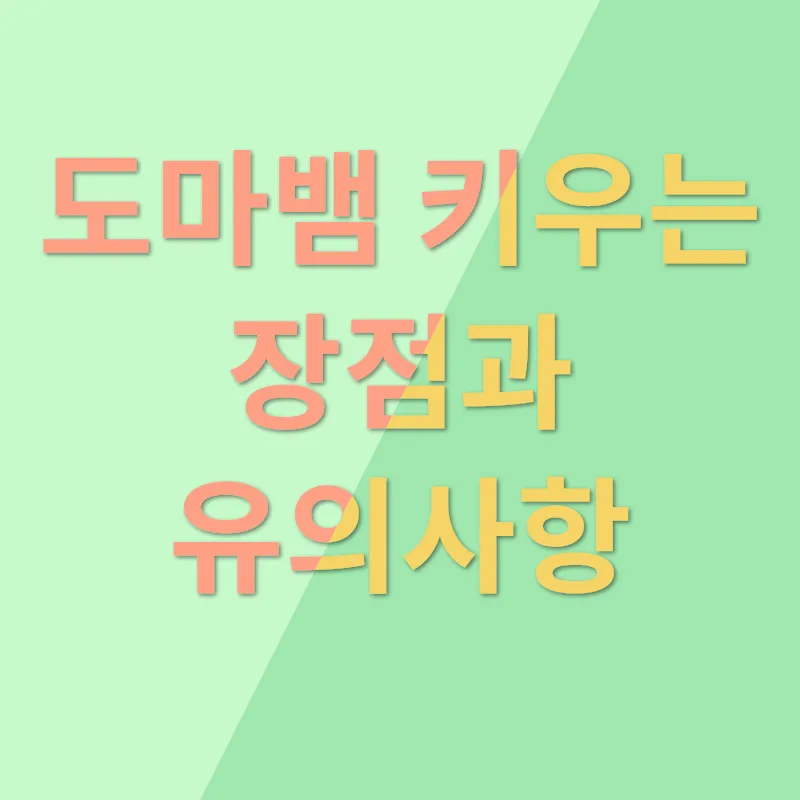 키우는 동물로서의 도마뱀_1_subsection